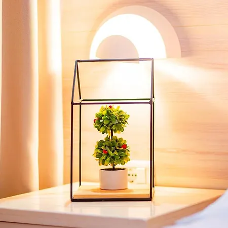 Hotel Meri Boutique